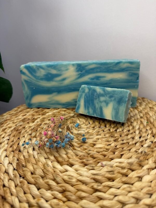 Jabón artesanal (100gr) - Algas marinas