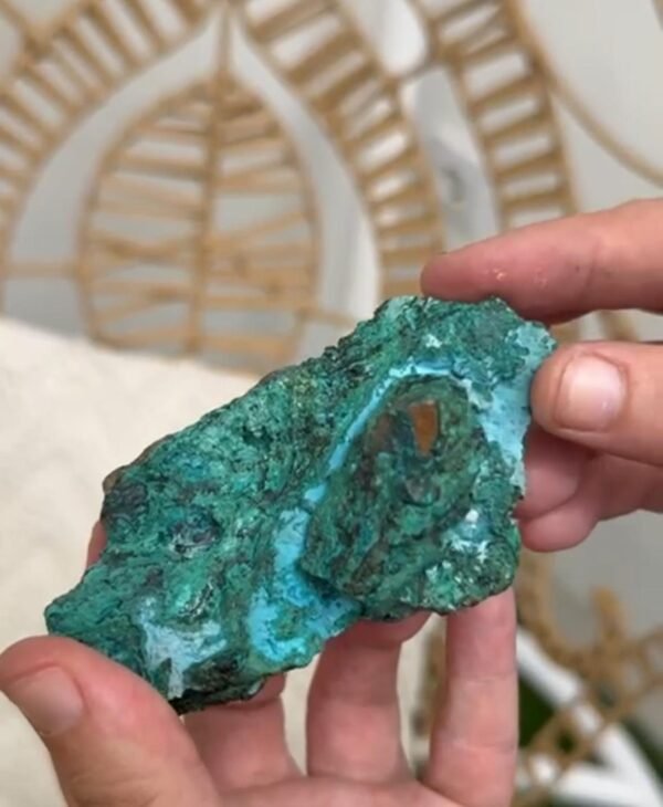 Crisopasa Crisopasa Bruto