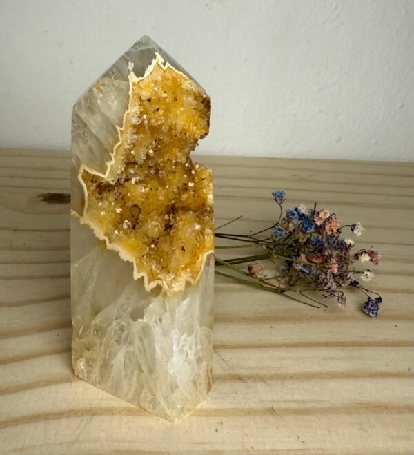 Ágata Exclusiva Punta