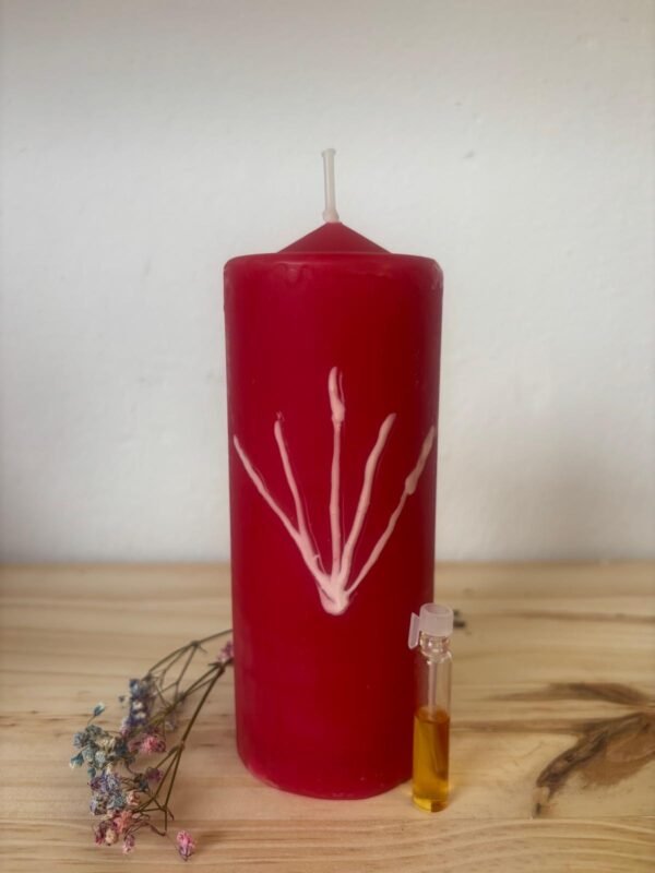 velon especial doble carga lo que yo diga Velón Doble Carga Lo Que Yo Diga