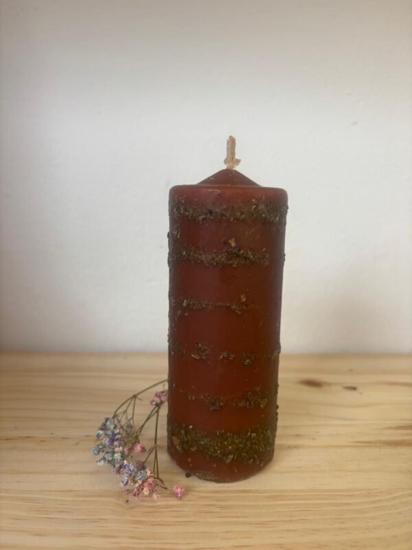 velon herboreo olvido Velón Herbóreo Olvido