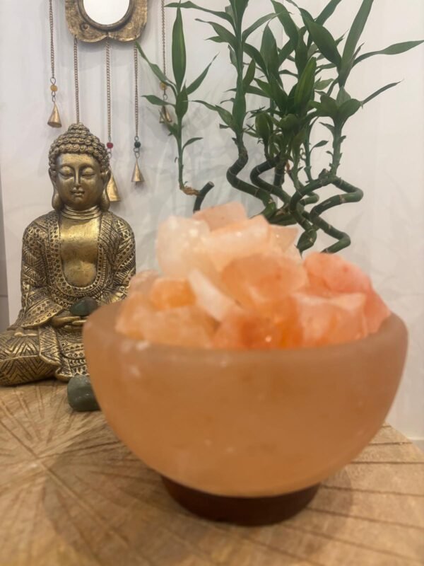 Lámpara Cuenco Sal del Himalaya