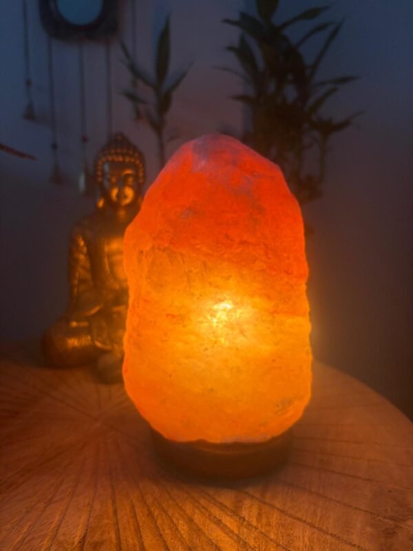 nit Lámpara de Sal del Himalaya